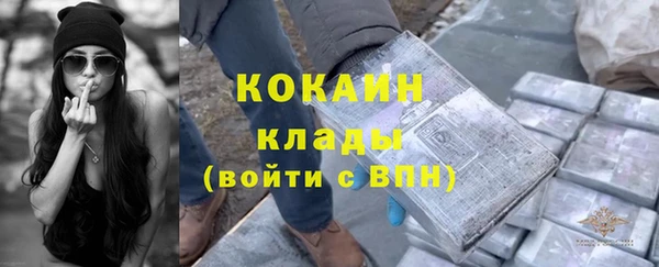 шишки Алексин