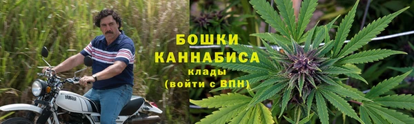 ПСИЛОЦИБИНОВЫЕ ГРИБЫ Алексеевка