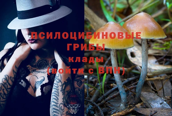 ПСИЛОЦИБИНОВЫЕ ГРИБЫ Алексеевка